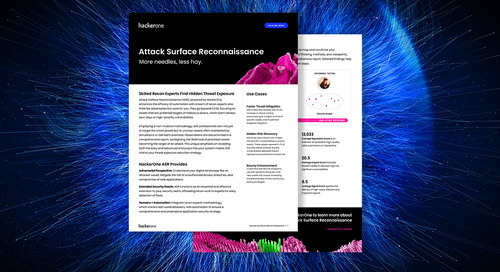 Attack Surface Reconnaissance Solution Brief