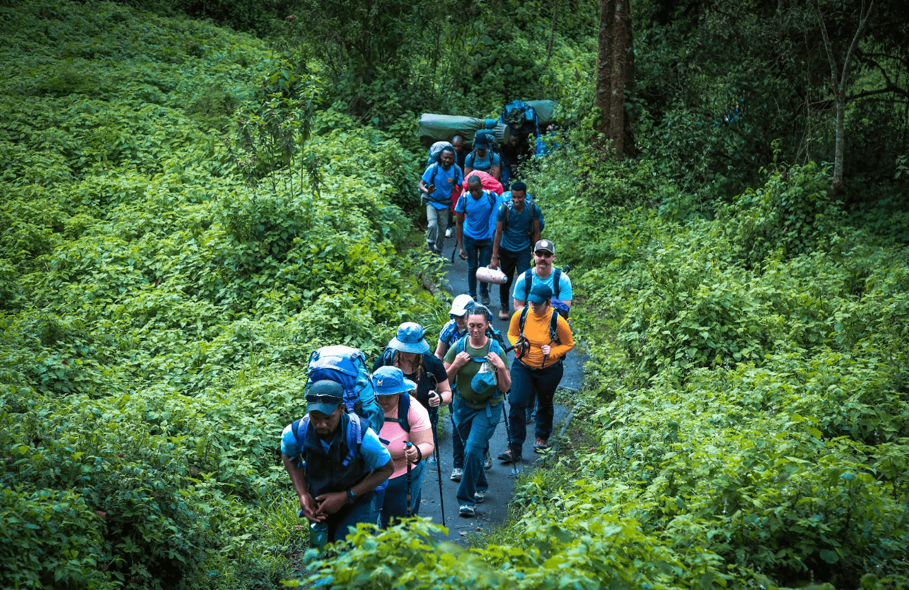 Tourists hiking 